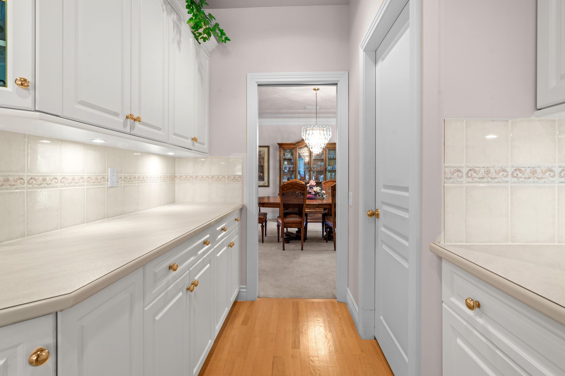 Kitchen counters and the pantry