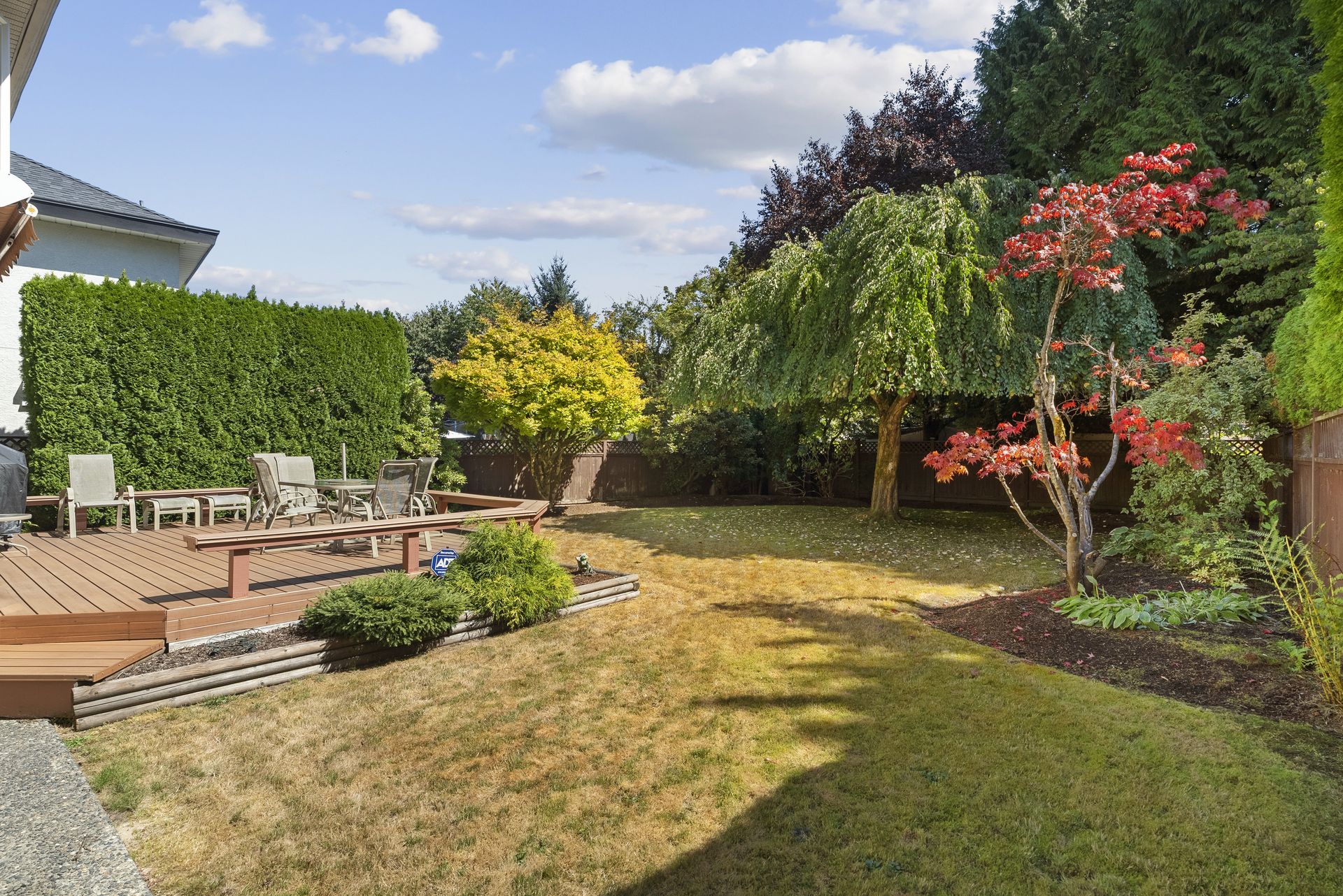 Backyard and deck