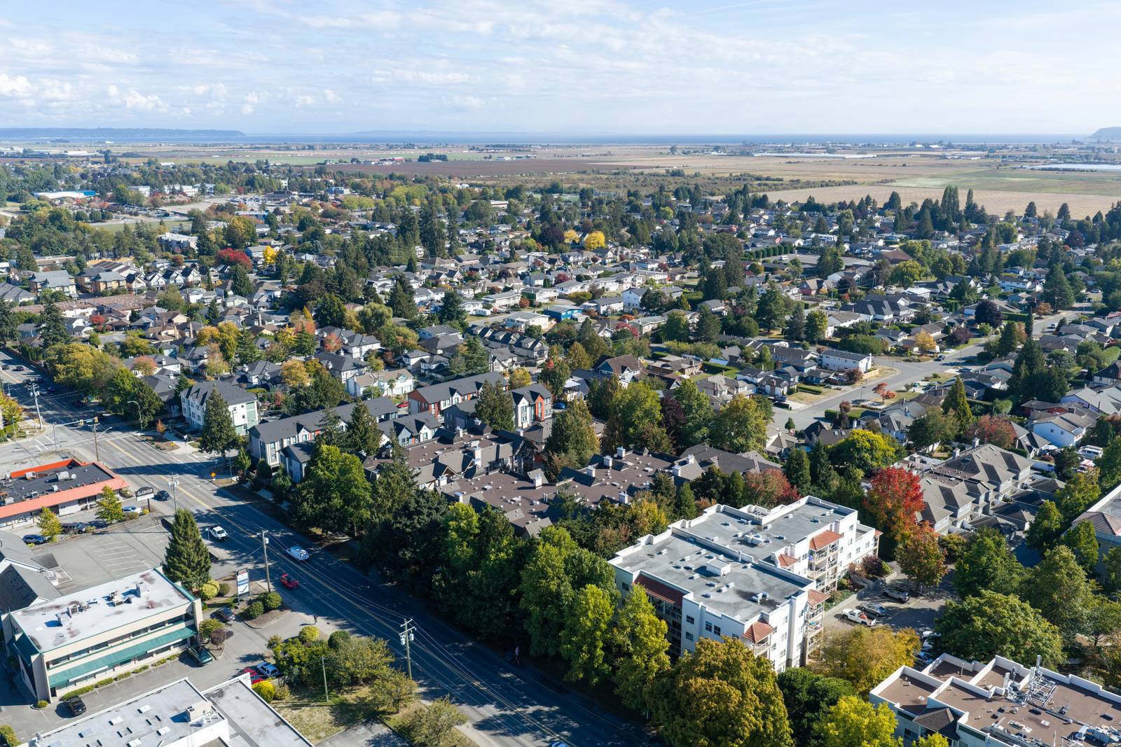 Aerial view over the Ladner neighbourhood