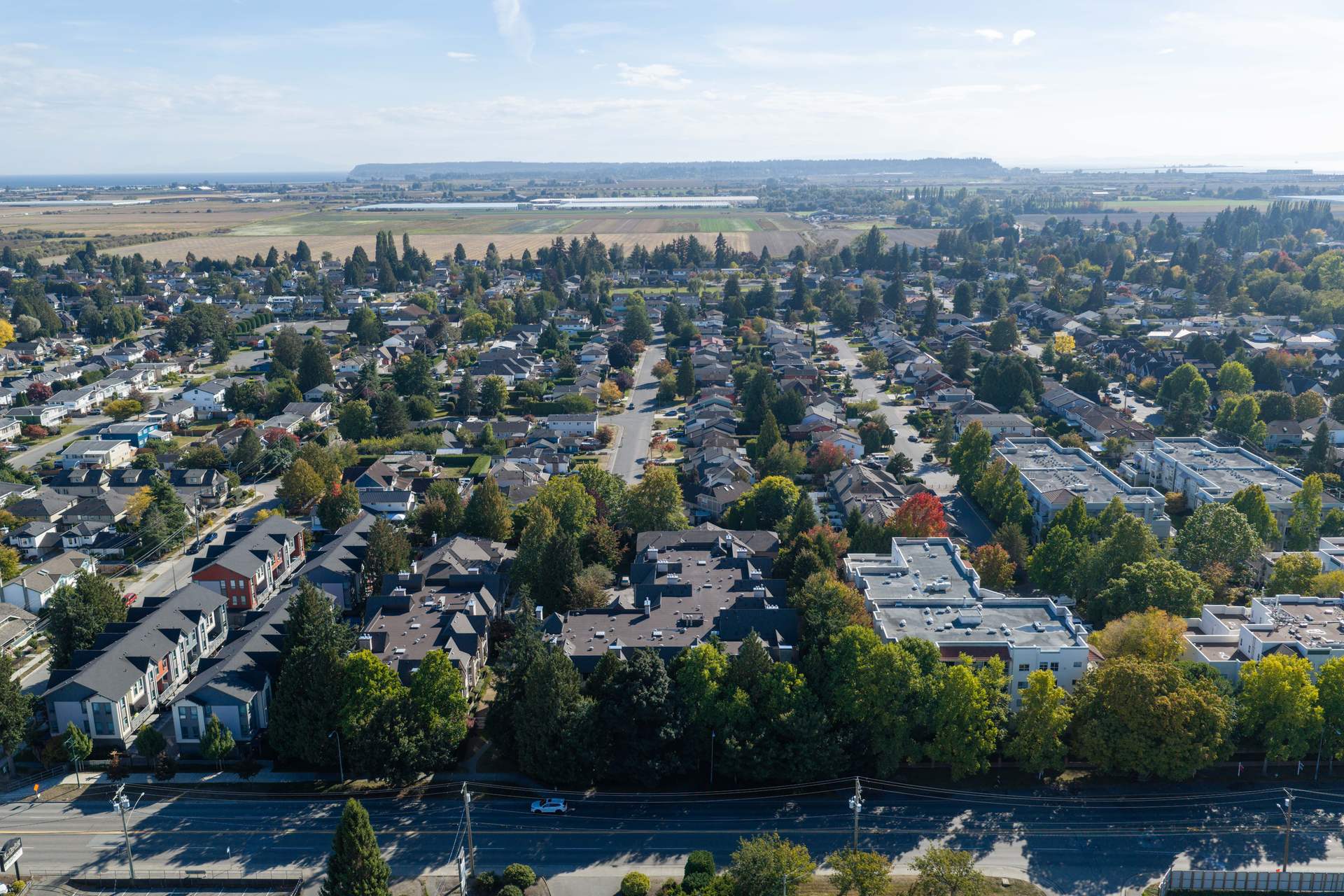 Aerial view of tree lined Ladner streets