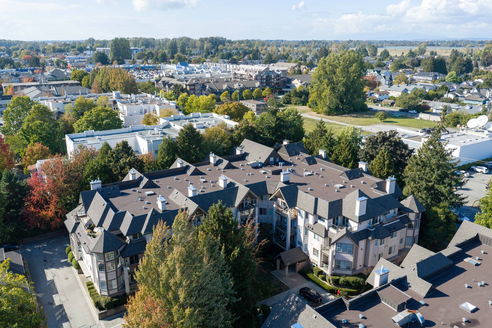 Aerial view of the building and the trees around it